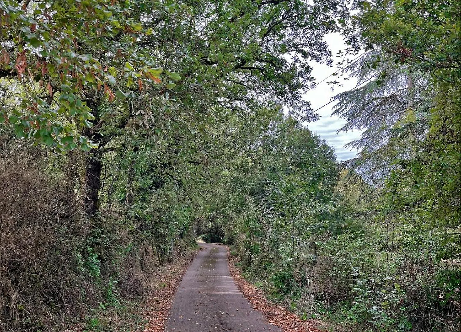 Grand Gite & Petit Gite Saint-Antonin 0*,  Francia